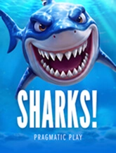 Sharks!